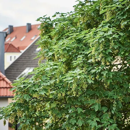Boardinghome Oldenburg-3