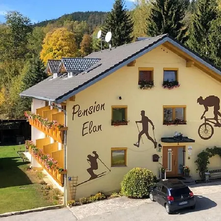 Pension Elan-2