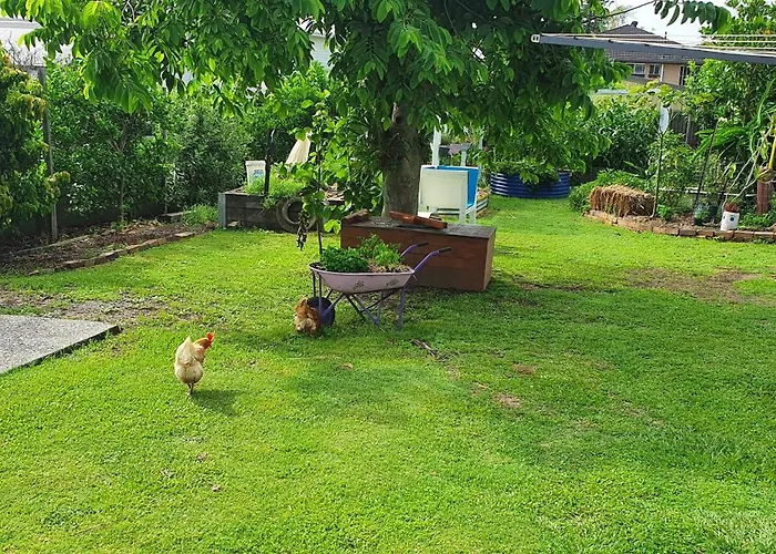 Sustainable B&B By The Bay Brisbane