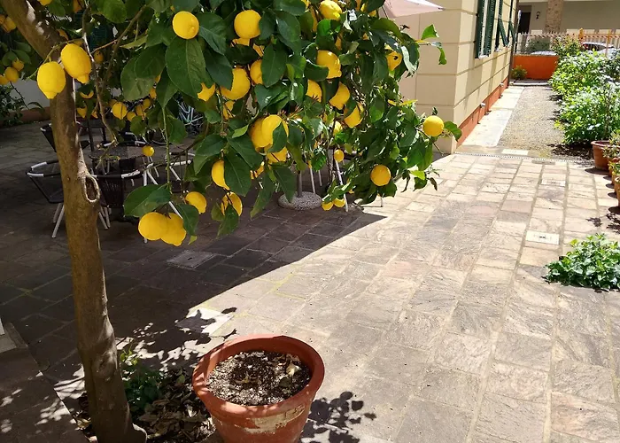 Hotel Ca' del Golfo Levanto