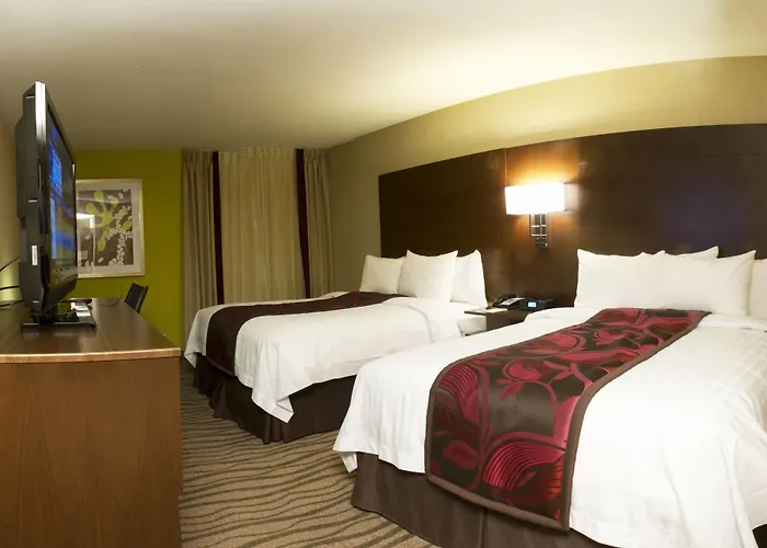Fairfield Inn & Suites By Marriott Dallas Dfw Airport South/Irving