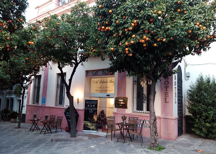 Hotel Palacio Alcazar