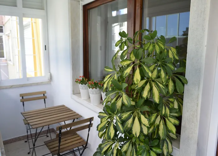 Casa Amarela Belém