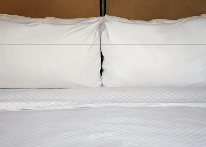 Four Points By Sheraton Dallas Fort Worth Airport North