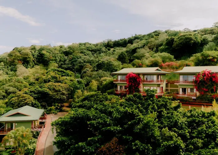 Ficus Sunset Suites Monteverde