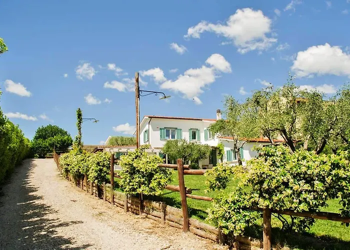 Bed and Breakfast La piccola fattoria Formello